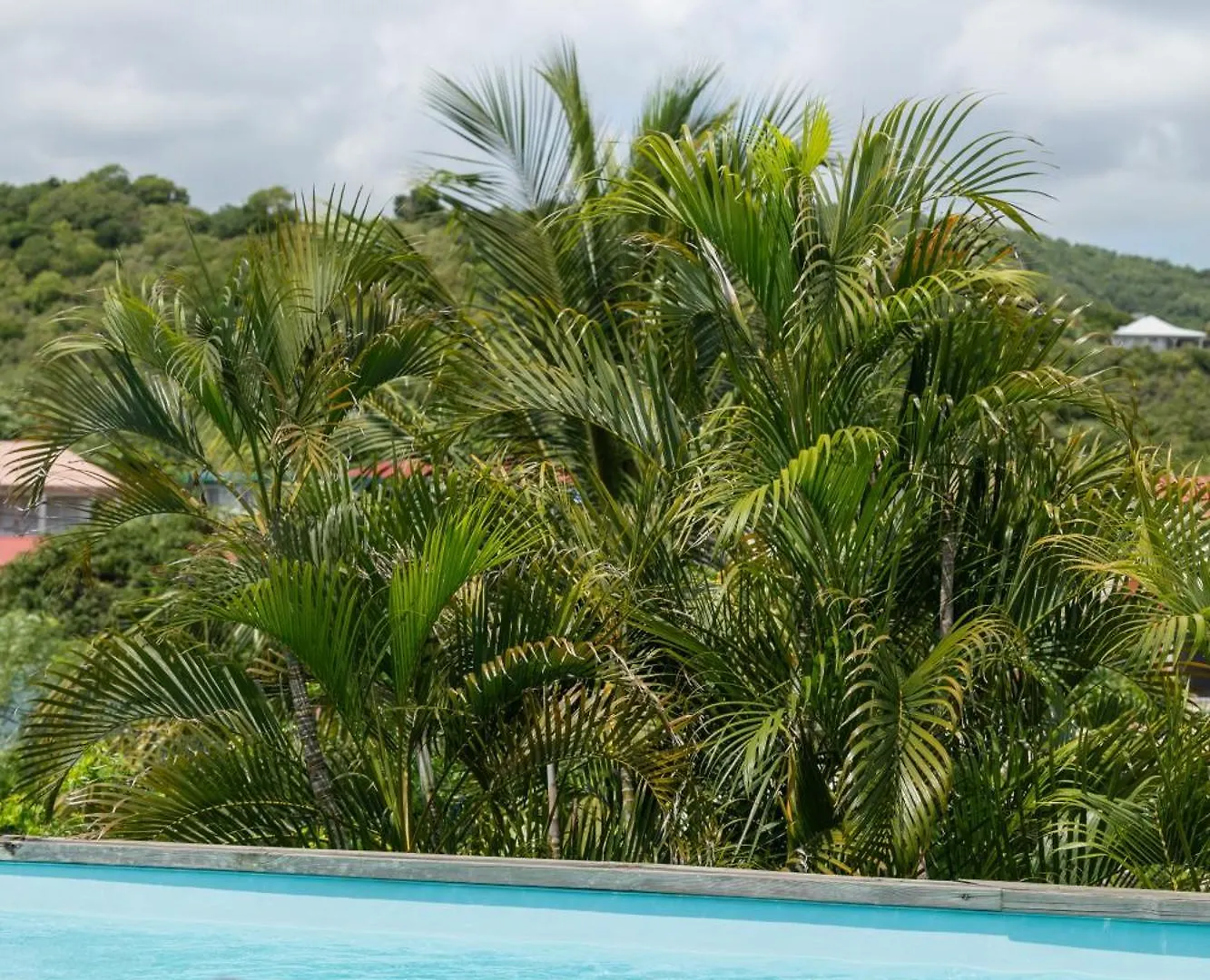 Villa Odyssee, Spot Kite Surf Le Vauclin